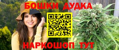 крисы Обь