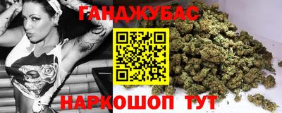 крисы Обь