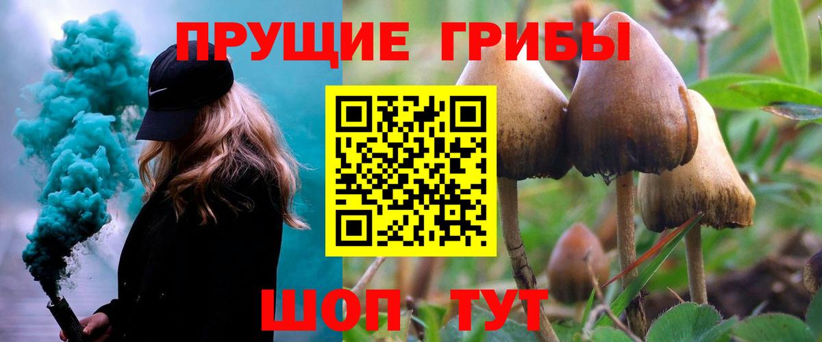 Псилоцибиновые грибы Psilocybe  Вход с VPN  Евпатория 